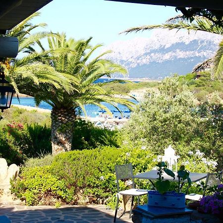 Villa Corallina Costa Corallina Esterno foto