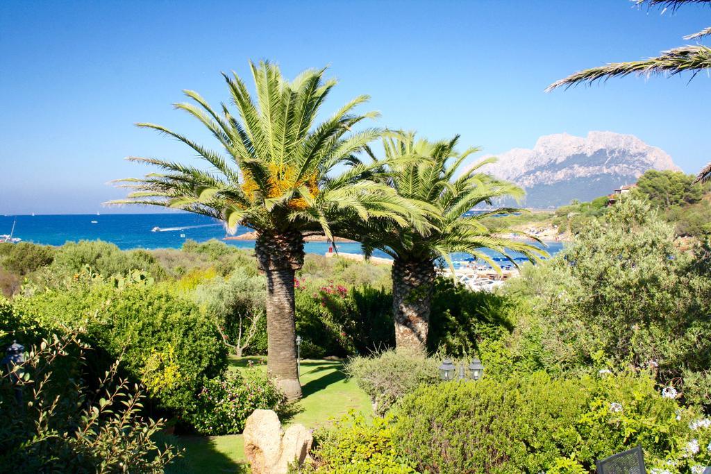 Villa Corallina Costa Corallina Esterno foto